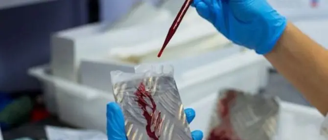 Coronavirus, la Regione al ministero: «Calabria pronta, per l’emergenza scelto il Pugliese»