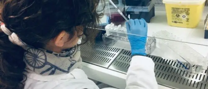 Tumori, in Italia cure sempre più efficaci. Ancora troppe differenze tra Nord e Sud