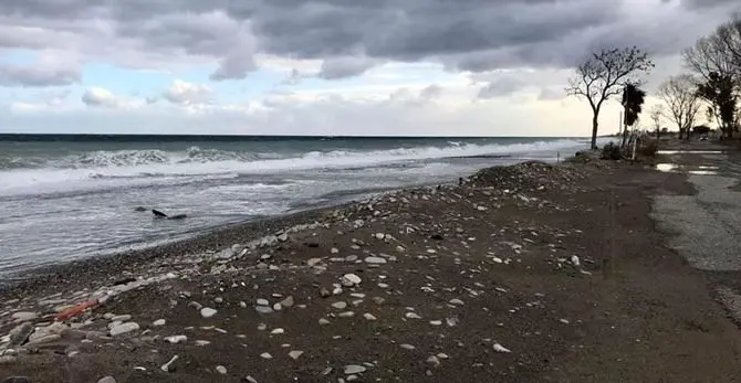 Le mareggiate fanno paura a Corigliano Rossano, la spiaggia non c’è più