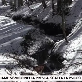 Terremoto, nella Sila catanzarese si apre una strana faglia nel terreno