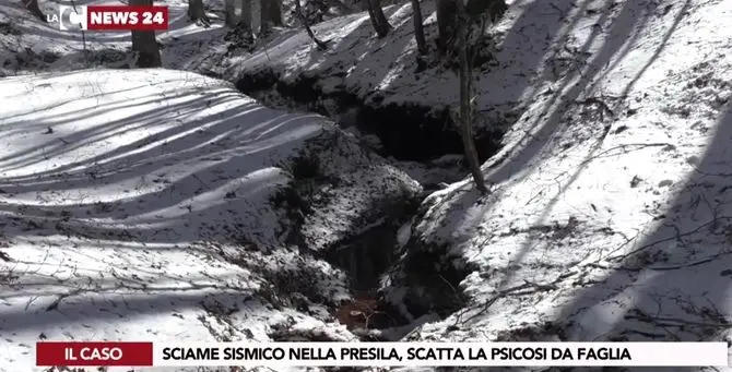 Terremoto, nella Sila catanzarese si apre una strana faglia nel terreno