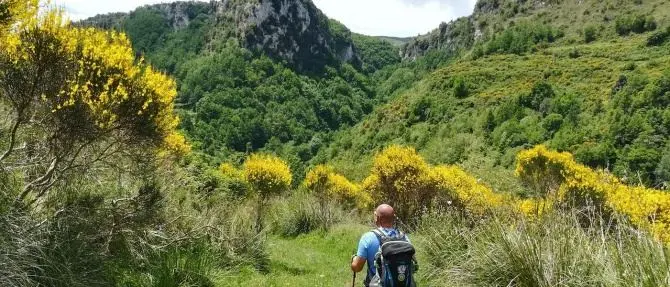 Il cammino di San Francesco di Paola approda in tv con Geo