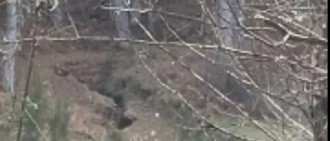 Terremoti, il giallo della faglia nella Presila. La Prociv: «No a sismologi improvvisati»