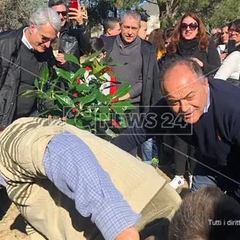 A Fuscaldo un ulivo dedicato a Gratteri nel Giardino dei Giusti