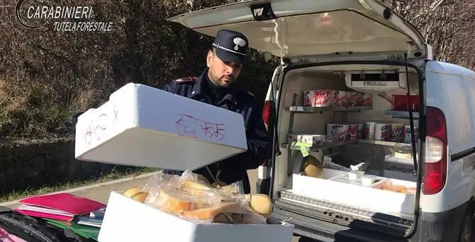 Formaggi fuori norma, sequestri e sanzioni nel Cosentino