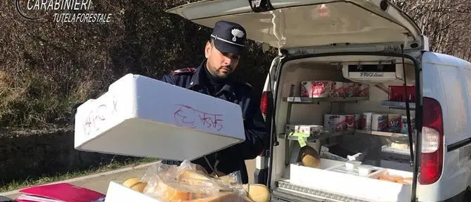 Formaggi fuori norma, sequestri e sanzioni nel Cosentino