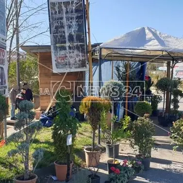 Cosenza, chiosco abusivo smantellato dalla municipale