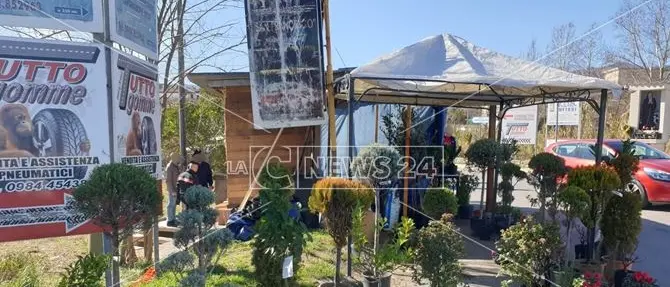 Cosenza, chiosco abusivo smantellato dalla municipale