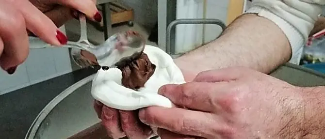Mozzarella ripiena alla Nutella: ecco la nuova moda che arriva dalla Puglia
