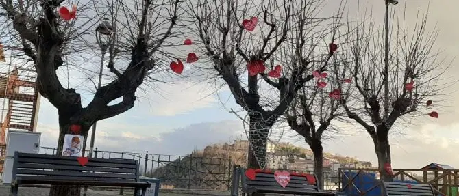 Altomonte celebra il mese degli innamorati con la Panchina dell'amore