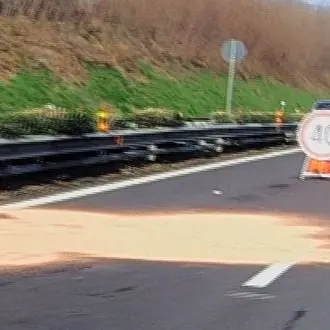 Incidente tra Cosenza e Rogliano, cade da un furgone: muore investito da un tir