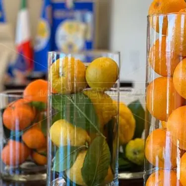 Jole Santelli, non fiori ma solo frutti della Calabria nel suo ufficio alla Regione