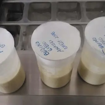 Dagli scarti del latte l'Unical inventa un budino proteico: il video