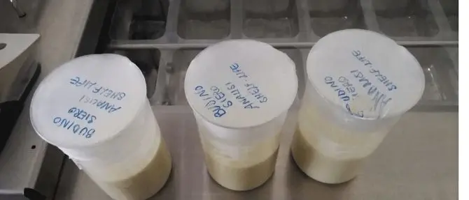 Dagli scarti del latte l'Unical inventa un budino proteico: il video