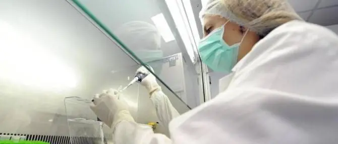 Gli studi Unical su nuovi metodi per il rilascio dei farmaci in una rivista internazionale