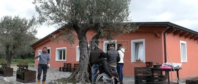 Oltre la disabilità psichica, in Calabria una casa dove vivere in autonomia