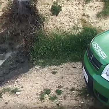 I rifiuti di un allevamento di maiali in un fiume del Cosentino, denunce e sequestri