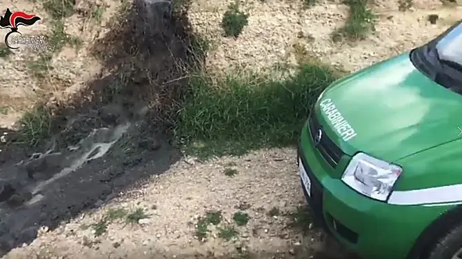 I rifiuti di un allevamento di maiali in un fiume del Cosentino, denunce e sequestri