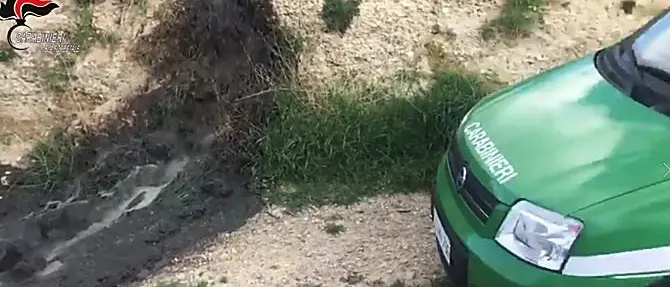 I rifiuti di un allevamento di maiali in un fiume del Cosentino, denunce e sequestri