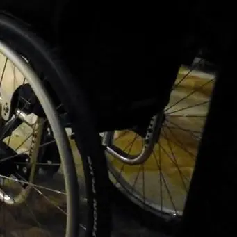 Il montascale per alunni disabili si farà, vittoria per gli studenti vibonesi