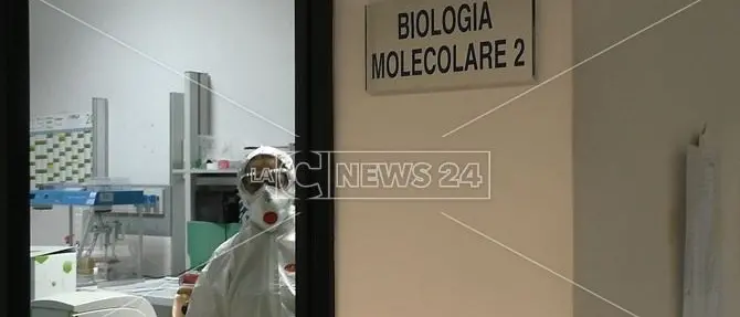 Coronavirus, la Calabria è pronta a gestire l’emergenza?