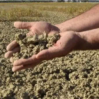 Siccità in Calabria, l’inverno più caldo dal 1880: «Serve lo stato di calamità»