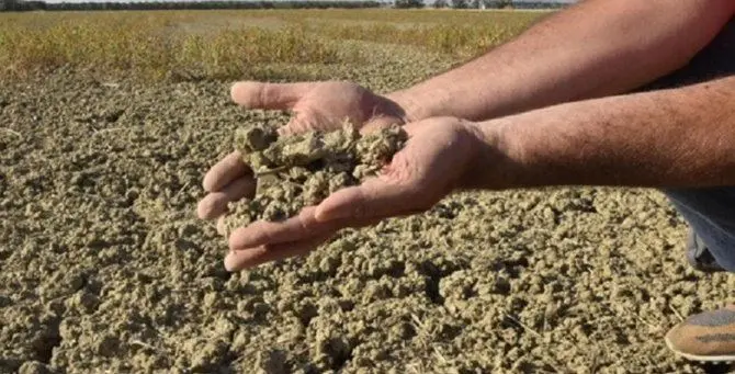 Siccità in Calabria, l’inverno più caldo dal 1880: «Serve lo stato di calamità»