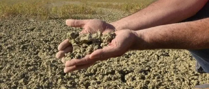 Siccità in Calabria, l’inverno più caldo dal 1880: «Serve lo stato di calamità»