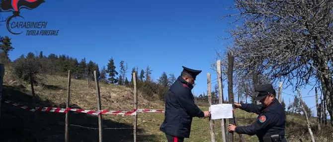 Scala Coeli, tentata truffa su finanziamento regionale: denunciati due progettisti