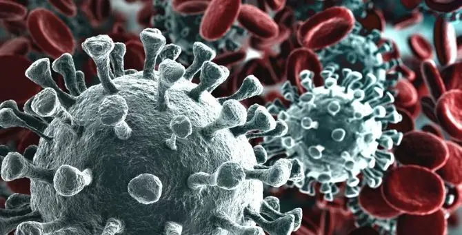 Coronavirus, il sindaco di Cetraro: «Moglie del paziente positivo non contagiata»