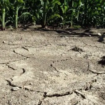 Siccità in Calabria, è allarme: «Acqua sufficiente per 6 giorni nel Crotonese»