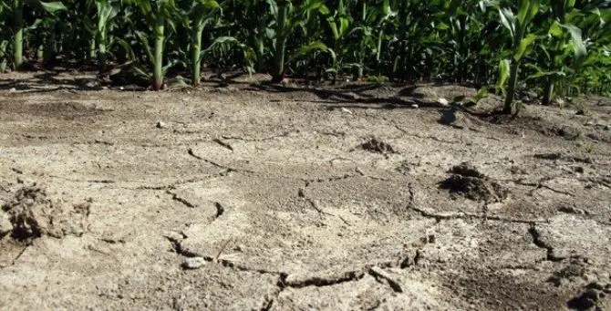 Siccità in Calabria, è allarme: «Acqua sufficiente per 6 giorni nel Crotonese»