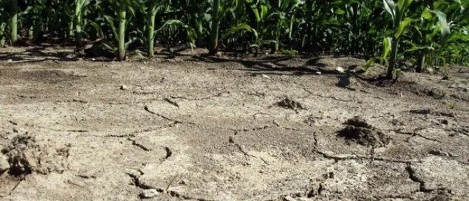 Siccità in Calabria, è allarme: «Acqua sufficiente per 6 giorni nel Crotonese»