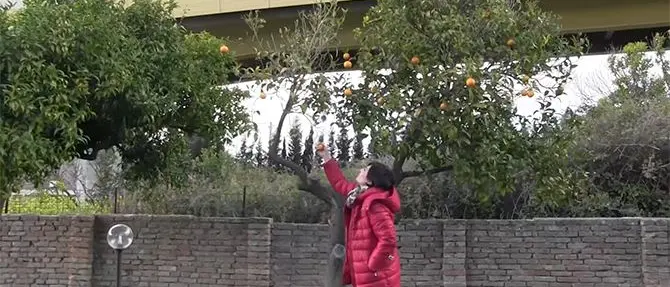 Finì in coma dopo le botte, Maria e il coraggio di denunciare un amore malato