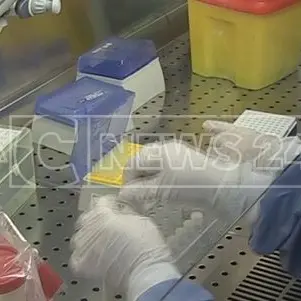 Coronavirus in Calabria, a Reggio positivo un docente dell'università Mediterranea