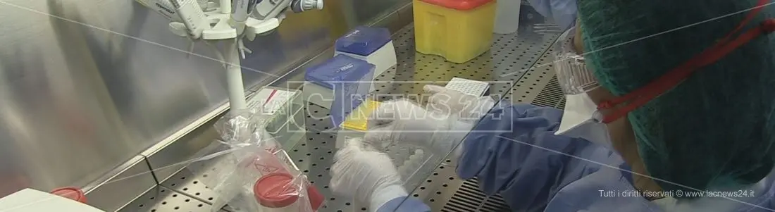 Coronavirus in Calabria, a Reggio positivo un docente dell'università Mediterranea