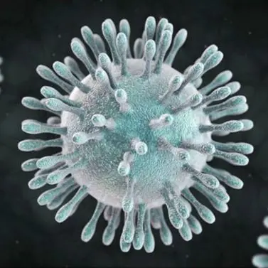 L’Oms sul coronavirus: «Non è ancora pandemia ma segnali preoccupanti»