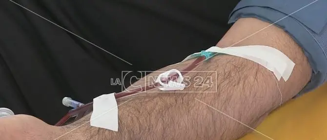 Ospedale di Cosenza a corto di sangue. L'appello: «Andate a donare»