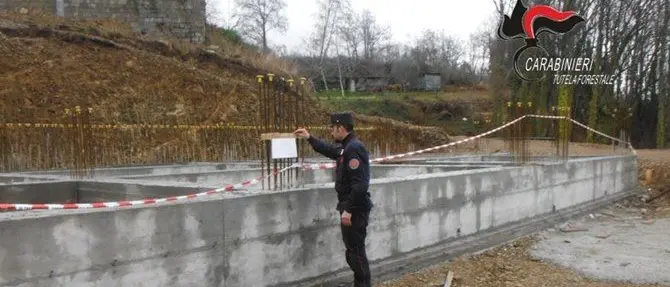 Lamezia, abusivismo e disboscamento in area soggetta a vincolo: 2 denunce