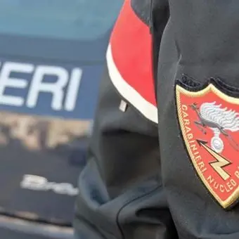 Tritolo nascosto nelle campagne del Reggino, arrestato 76enne