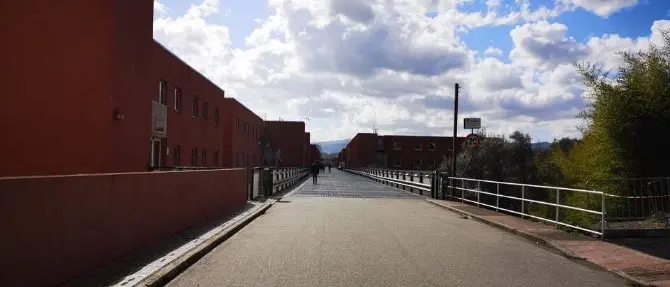 Anche l'Unical si adegua al nuovo decreto: le nuove misure anticontagio