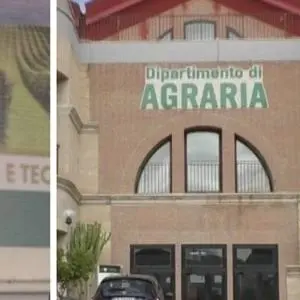Coronavirus, parla il prof di Agraria di Reggio Calabria: «Così ho scoperto la malattia»