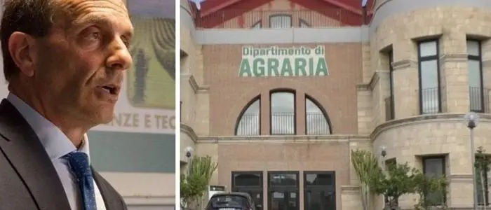 Coronavirus, parla il prof di Agraria di Reggio Calabria: «Così ho scoperto la malattia»