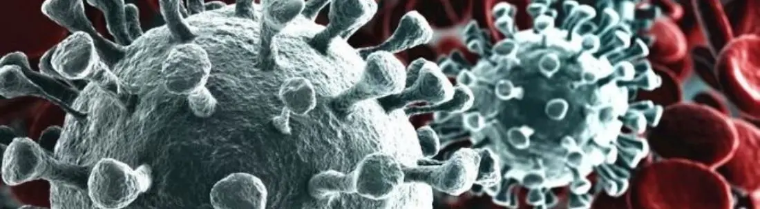 Coronavirus, l'Oms: «È pandemia. Quasi 120mila casi, situazione allarmante»