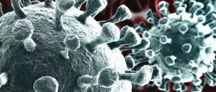 Coronavirus, l'Oms: «È pandemia. Quasi 120mila casi, situazione allarmante»