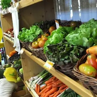 Aziende agricole in Calabria, ecco le proposte anti-crisi di Coldiretti