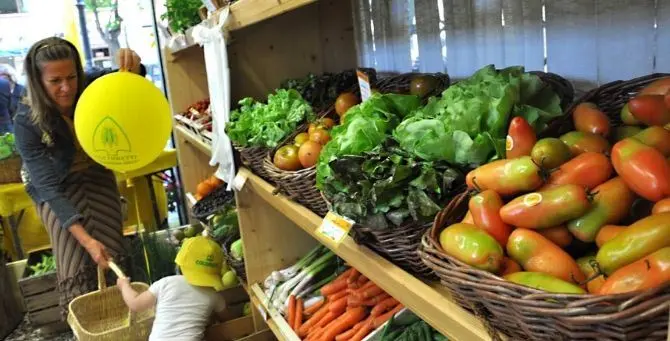 Aziende agricole in Calabria, ecco le proposte anti-crisi di Coldiretti