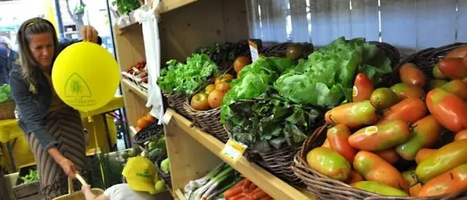 Aziende agricole in Calabria, ecco le proposte anti-crisi di Coldiretti