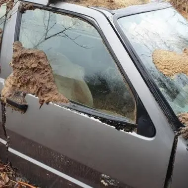 Vecchie auto abbandonate nelle campagne, 29mila euro di multe nel Vibonese