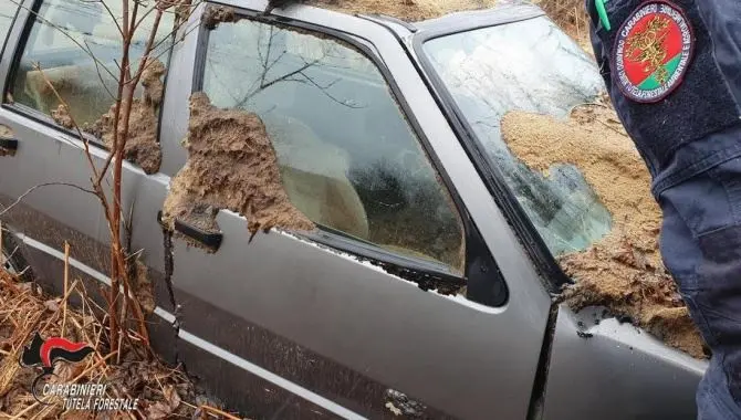 Vecchie auto abbandonate nelle campagne, 29mila euro di multe nel Vibonese